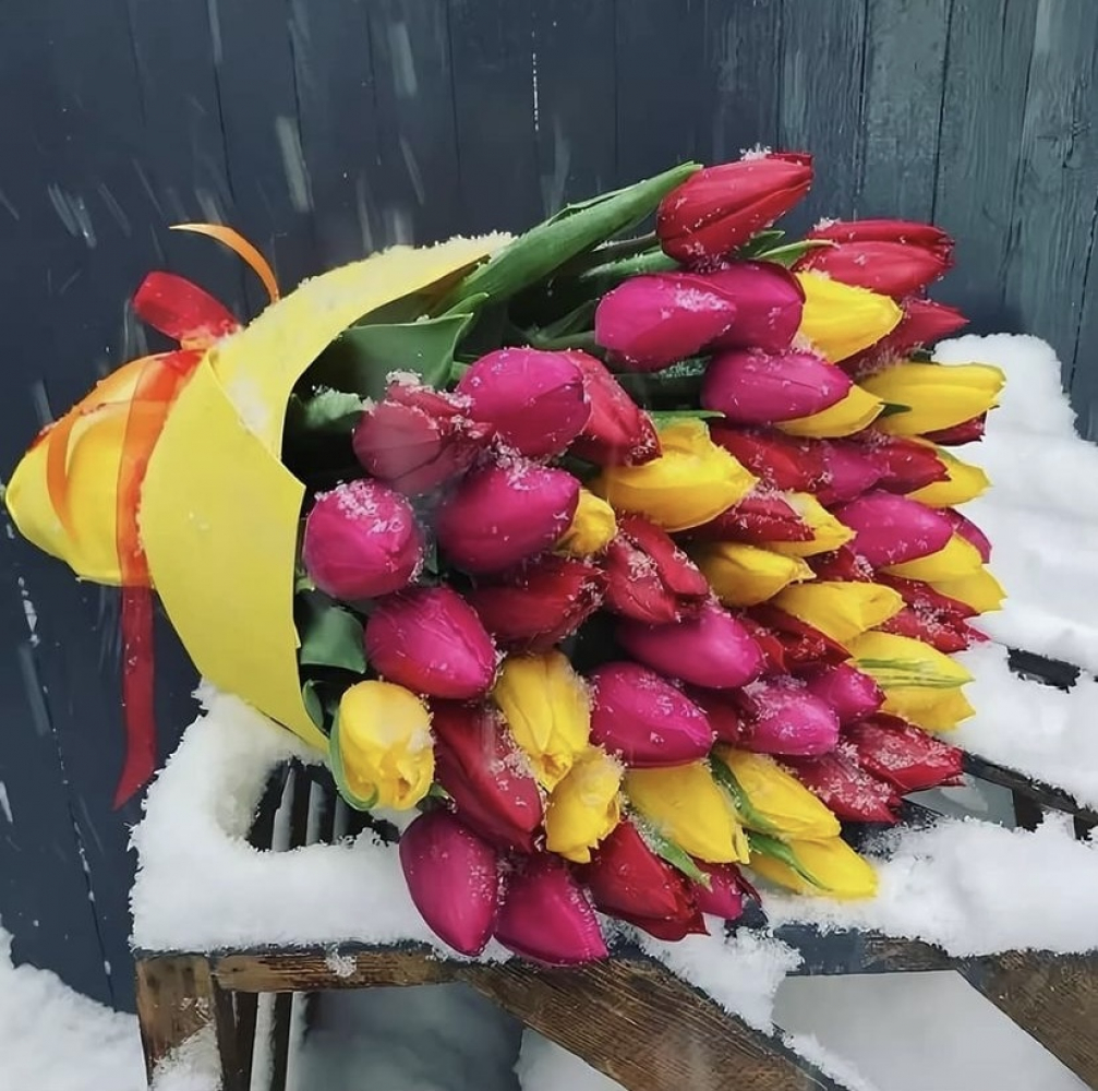 Тюльпаны