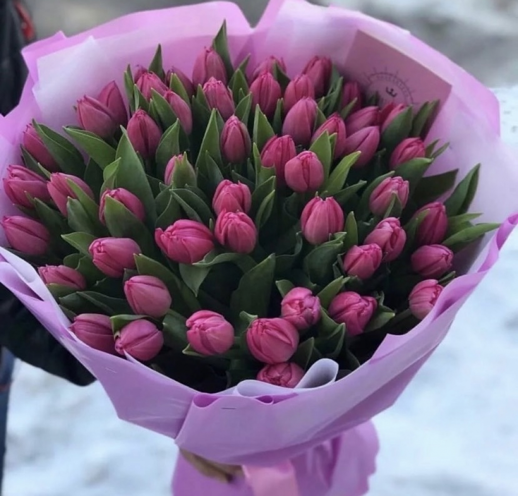 Тюльпаны